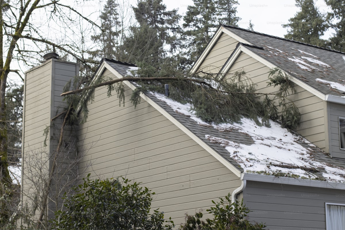 Storm-damaged residential roof with fallen tree branches